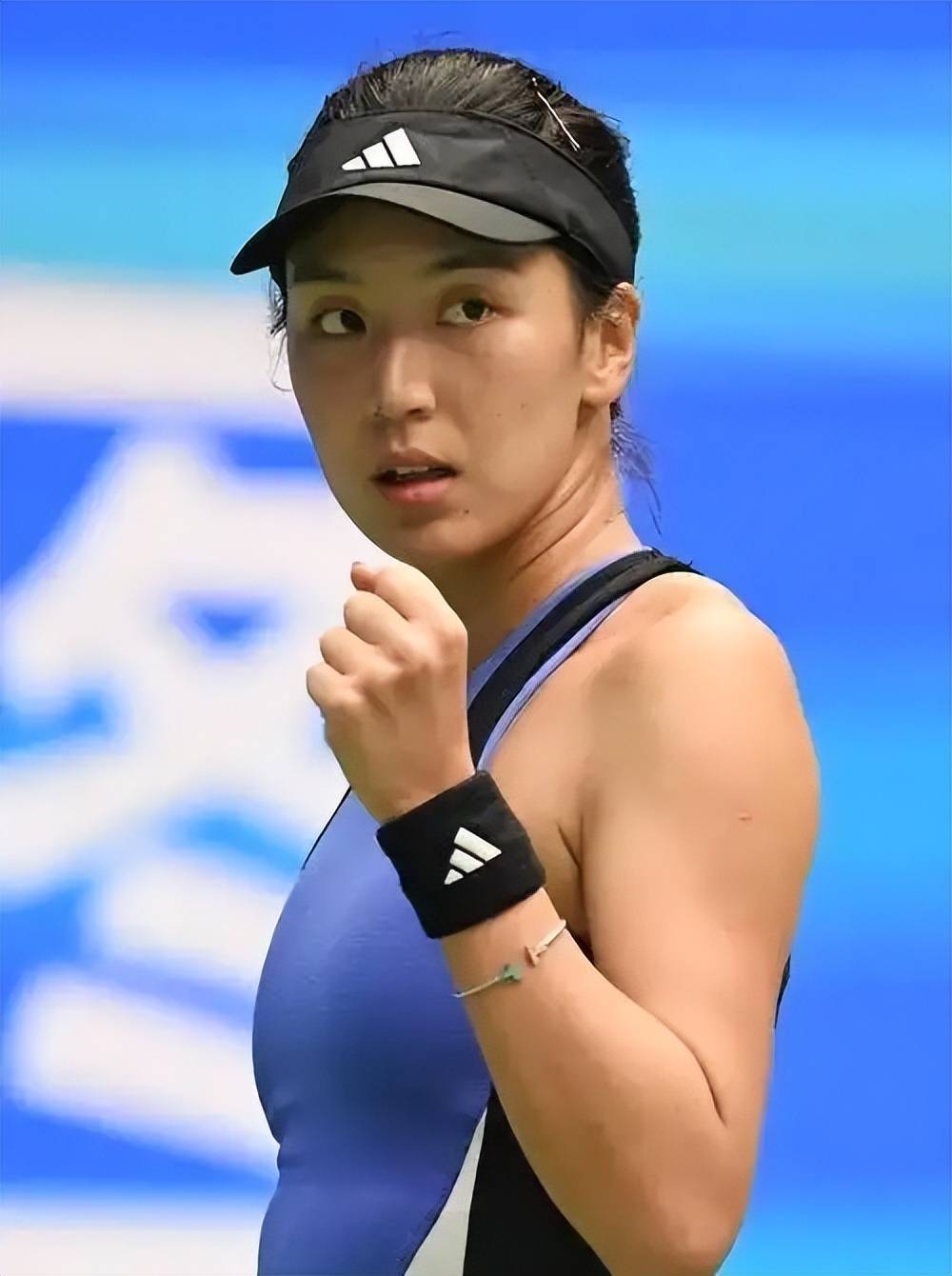 回顾历届总 回顾历届总