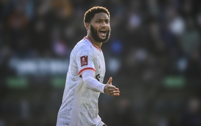 设想一场主 设想一场主