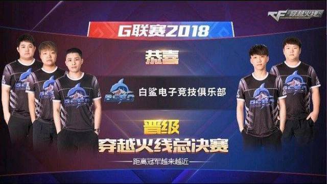 每次决策后